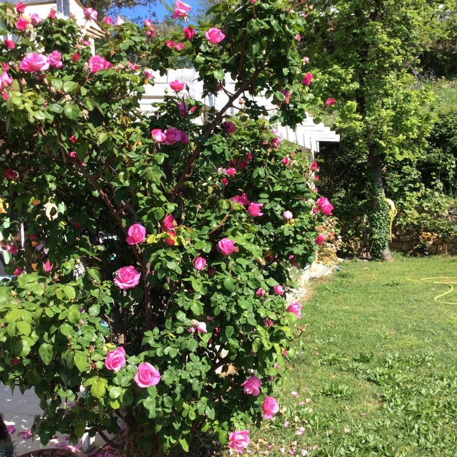 Bienvenue Chez Alain Et Marie Leilighet Antibes Eksteriør bilde